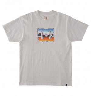 DC Shoes Chrome - T-Shirt Snow Heather | 63975AVPD