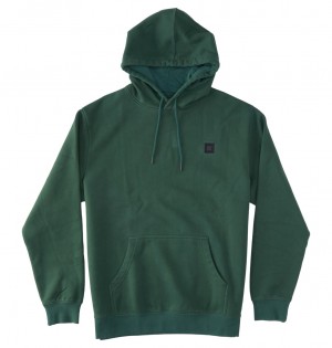 DC Shoes DC 1994 - Hoodie Sycamore Garment Dye | 74389ODEP