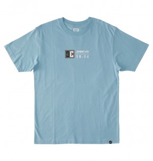 DC Shoes DC Split Star - T-Shirt Forget Me Not / Greystone | 35678TAGI