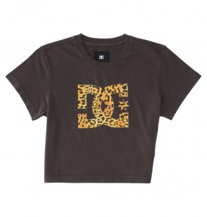 DC Shoes DC Star Fill - Cropped Fitted T-Shirt Czarne Niebieskie | 74615ZMNT