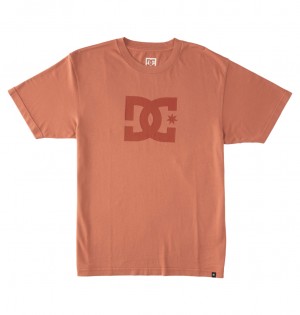 DC Shoes DC Star Pigment Dye - T-Shirt Niebieskie | 82091AWDL