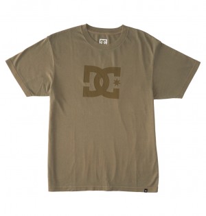 DC Shoes DC Star Pigment Dye - T-Shirt Niebieskie | 96271IPKU