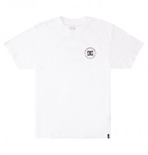 DC Shoes DC Star Pilot - T-Shirt Białe | 48037XVZA