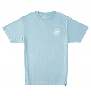 DC Shoes DC Star Pilot - T-Shirt Forget Me Not | 83497GXCM