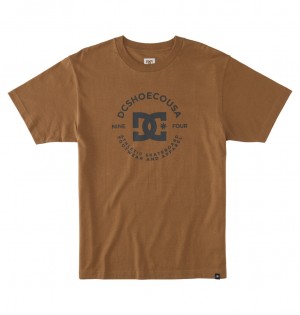 DC Shoes DC Star Pilot - T-Shirt Otter | 59218LZEX