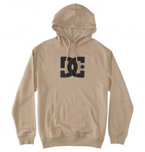 DC Shoes DC Star - Hoodie Plaza Taupe | 60712UZLT