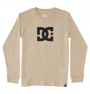 DC Shoes DC Star - Long Sleeve T-Shirt Plaza Taupe | 84063OWEQ