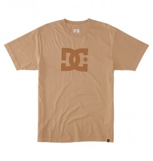 DC Shoes DC Star - T-Shirt Niebieskie | 24563UEIA