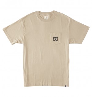 DC Shoes DC Star - T-Shirt Plaza Taupe | 71508YMBR