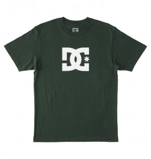 DC Shoes DC Star - T-Shirt Sycamore | 26034RLAX