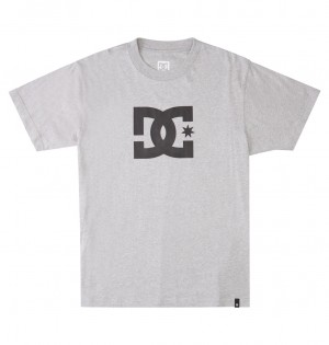 DC Shoes DC Star - T-Shirt Szare | 41238BNOV