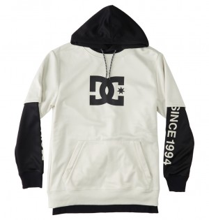 DC Shoes Dryden - Technical Hoodie Srebrne | 35809OUWK