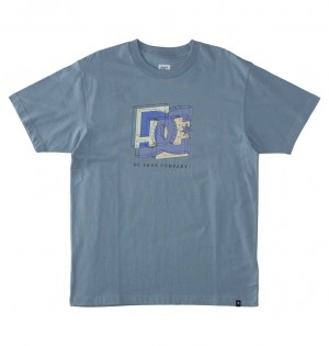 DC Shoes Fine Art - T-Shirt Niebieskie | 79216SHEL