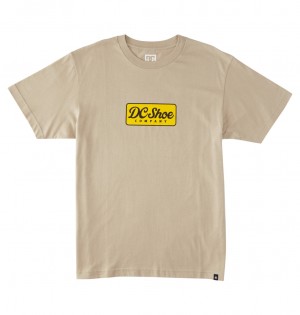 DC Shoes Happy Hour - T-Shirt Plaza Taupe | 75069KUDW