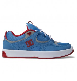 DC Shoes Kalynx Zero S - Skórzane Skate Shoes Niebieskie | 92638ABQK