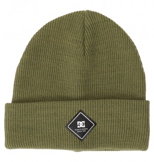 DC Shoes Label - Beanie Four Leaf Clover | 34086XHOT