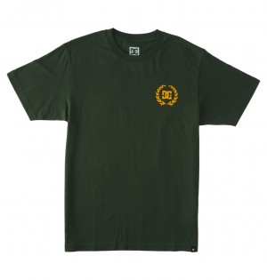 DC Shoes Lifes Changing - T-Shirt Sycamore | 69703CSPE