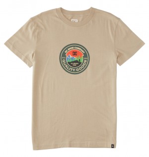 DC Shoes Outdoorsman - T-Shirt Plaza Taupe | 54178THKI