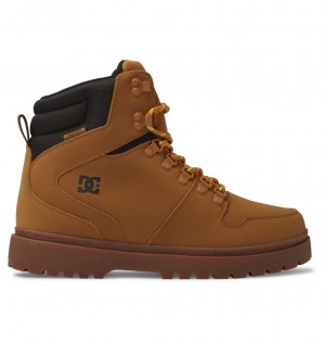 DC Shoes Peary Tr - Skórzane Boots Czarne | 43069XGKW