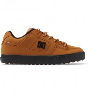 DC Shoes Pure WNT - Winterised Shoes Wheat | 54307NRAU