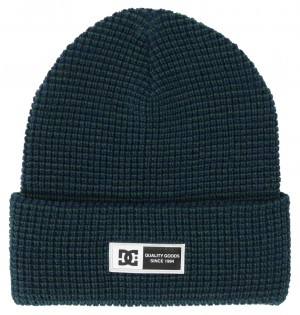 DC Shoes Sight - Beanie Sycamore | 97614VYUQ