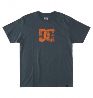 DC Shoes Sketchy - T-Shirt Stormy Weather | 75048MONH