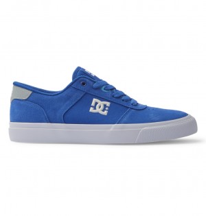 DC Shoes Teknic - Skórzane Shoes Niebieskie Niebieskie Białe | 41783MUCZ