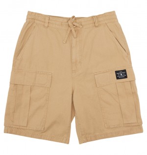 DC Shoes Tundra - Cargo Shorts Incense | 31684WNQD