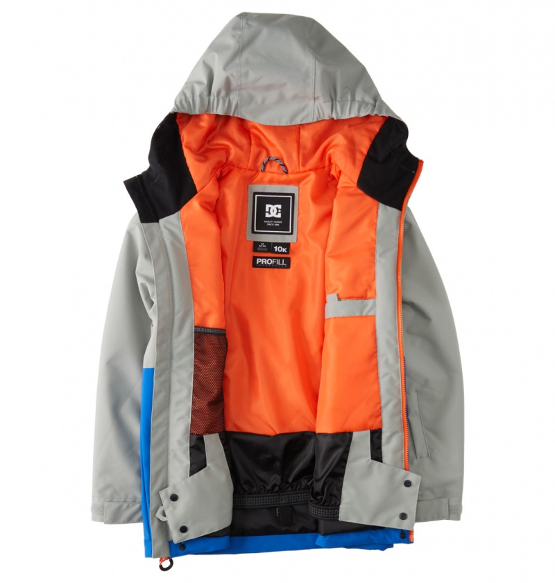 DC Shoes Basis - Technical Snow Jacket 8-16 Wild Dove | 51640LIQG