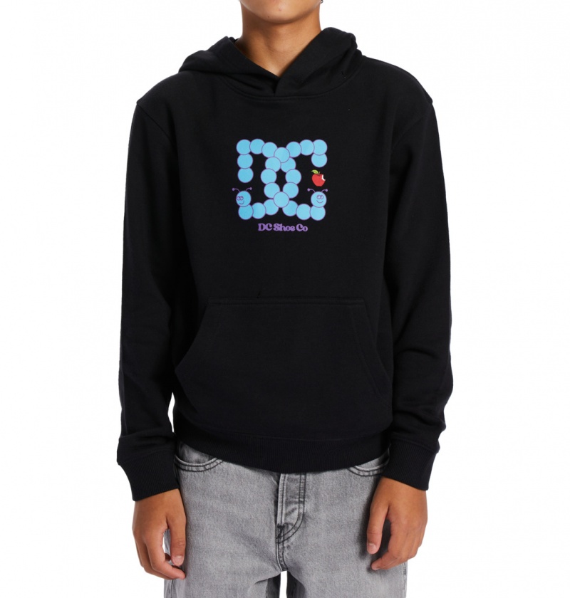 DC Shoes Bookworm - Hoodie 10-16 Czarne | 96045CWXK