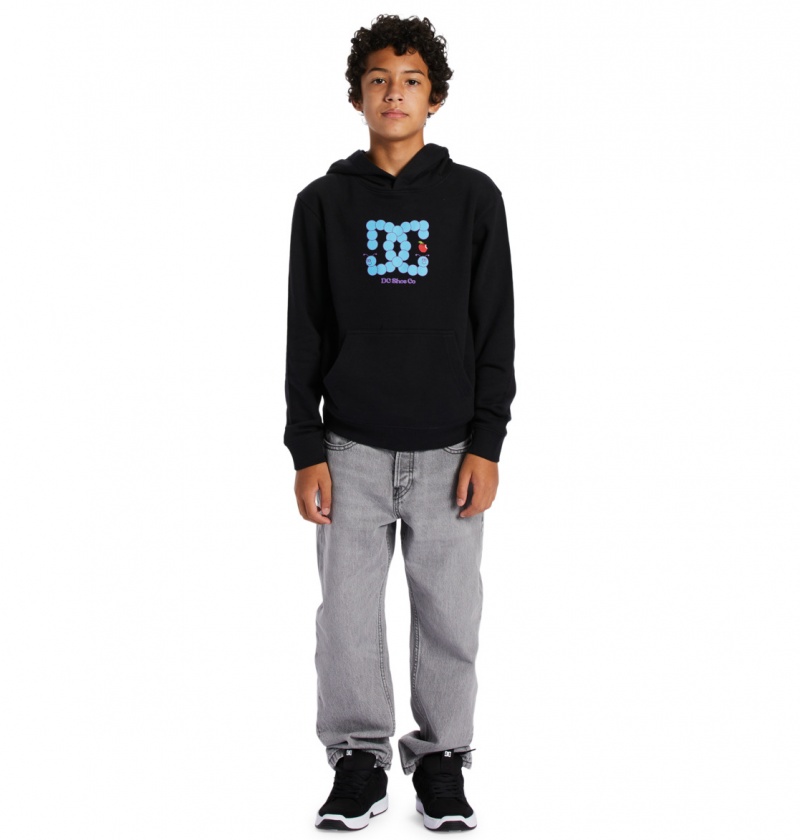 DC Shoes Bookworm - Hoodie 10-16 Czarne | 96045CWXK