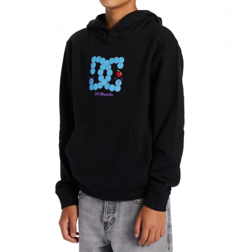 DC Shoes Bookworm - Hoodie 10-16 Czarne | 96045CWXK