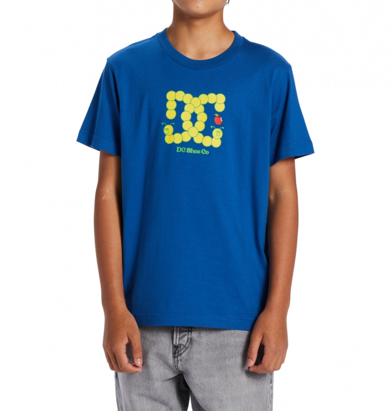 DC Shoes Bookworm - T-Shirt 10-16 Niebieskie | 97438ZLUR