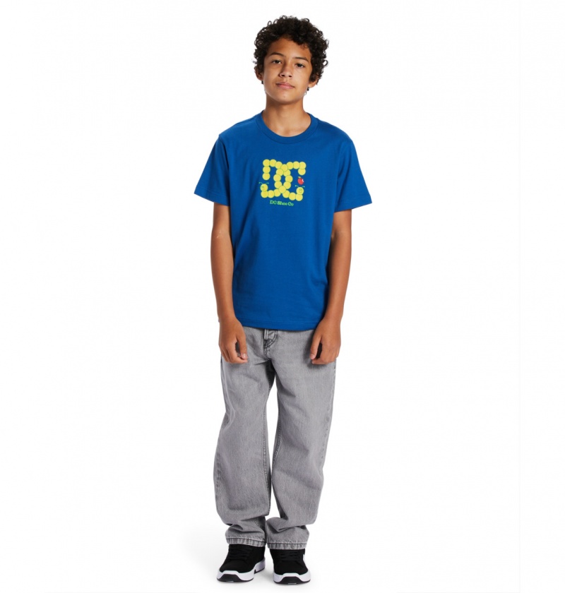 DC Shoes Bookworm - T-Shirt 10-16 Niebieskie | 97438ZLUR