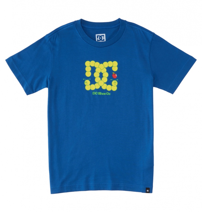 DC Shoes Bookworm - T-Shirt 10-16 Niebieskie | 97438ZLUR