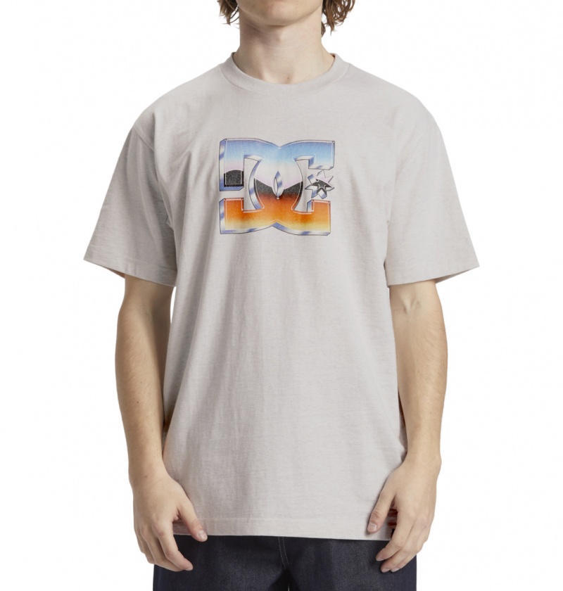 DC Shoes Chrome - T-Shirt Snow Heather | 63975AVPD