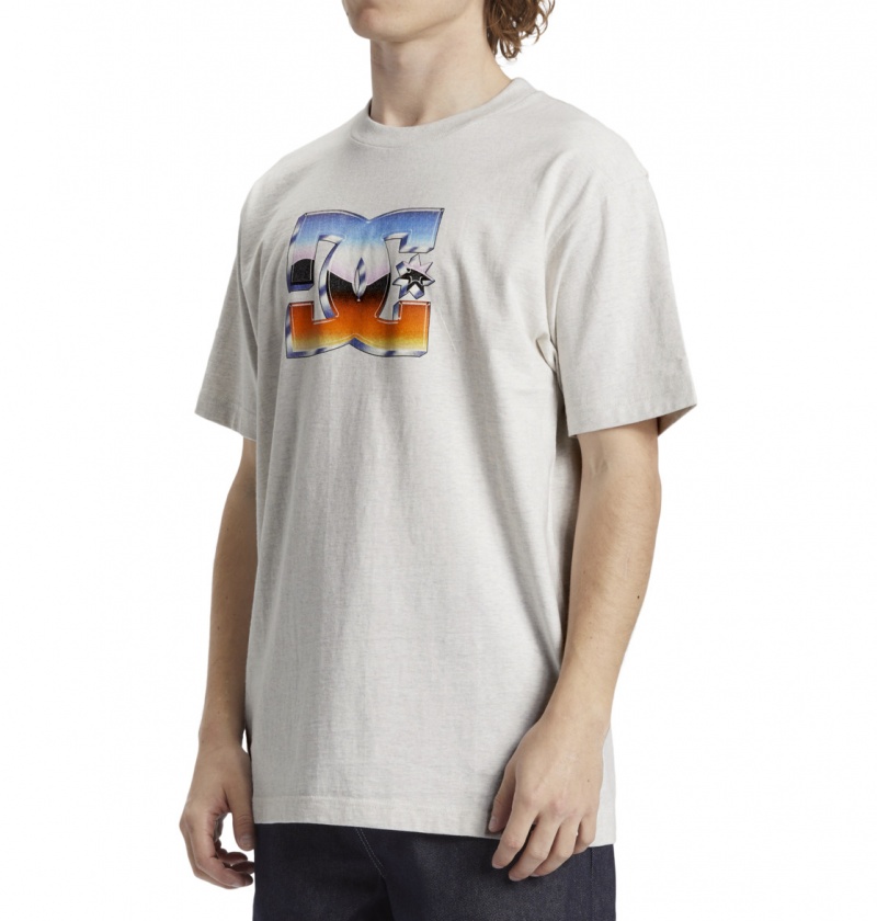 DC Shoes Chrome - T-Shirt Snow Heather | 63975AVPD