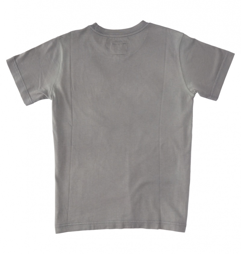 DC Shoes Citywide - T-Shirt 10-16 Pewter Potassium Spray | 70136CMNA