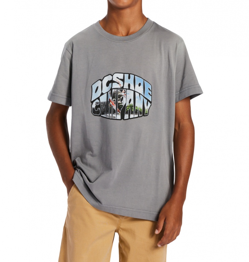 DC Shoes Citywide - T-Shirt 10-16 Pewter Potassium Spray | 70136CMNA