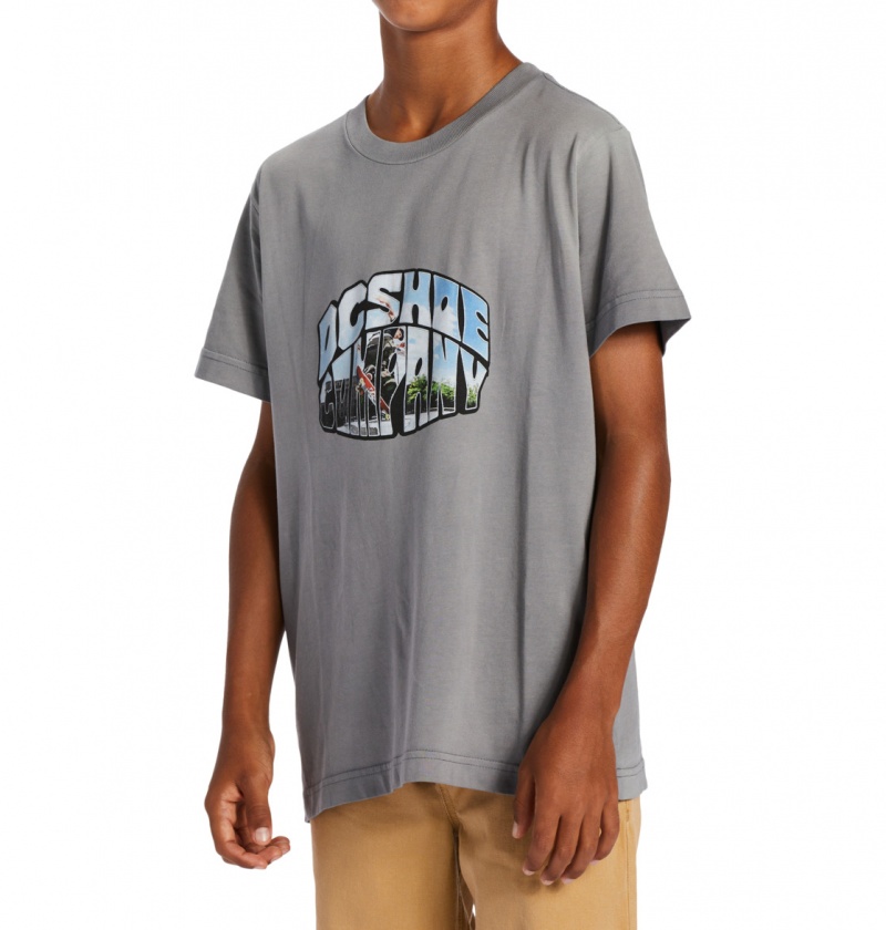 DC Shoes Citywide - T-Shirt 10-16 Pewter Potassium Spray | 70136CMNA