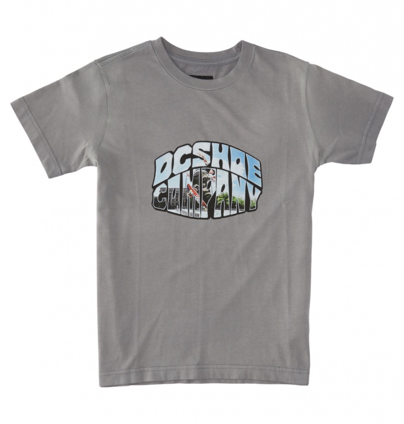 DC Shoes Citywide - T-Shirt 10-16 Pewter Potassium Spray | 70136CMNA