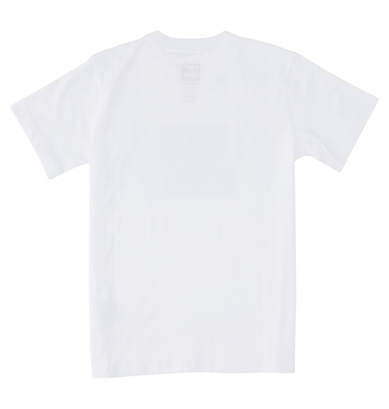 DC Shoes DC Square Star Fill - Krótkie Sleeve T-Shirt 8-16 Białe | 13864NXFV