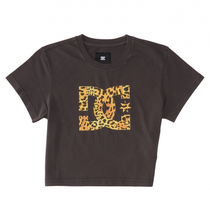 DC Shoes DC Star Fill - Cropped Fitted T-Shirt Czarne Niebieskie | 74615ZMNT