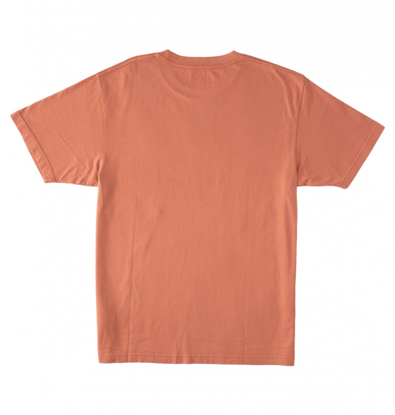 DC Shoes DC Star Pigment Dye - T-Shirt Niebieskie | 82091AWDL