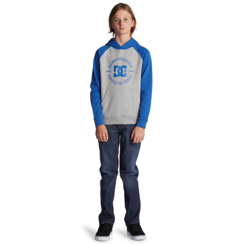 DC Shoes DC Star Pilot - Hoodie 8-16 Szare Niebieskie | 58796ZMQW