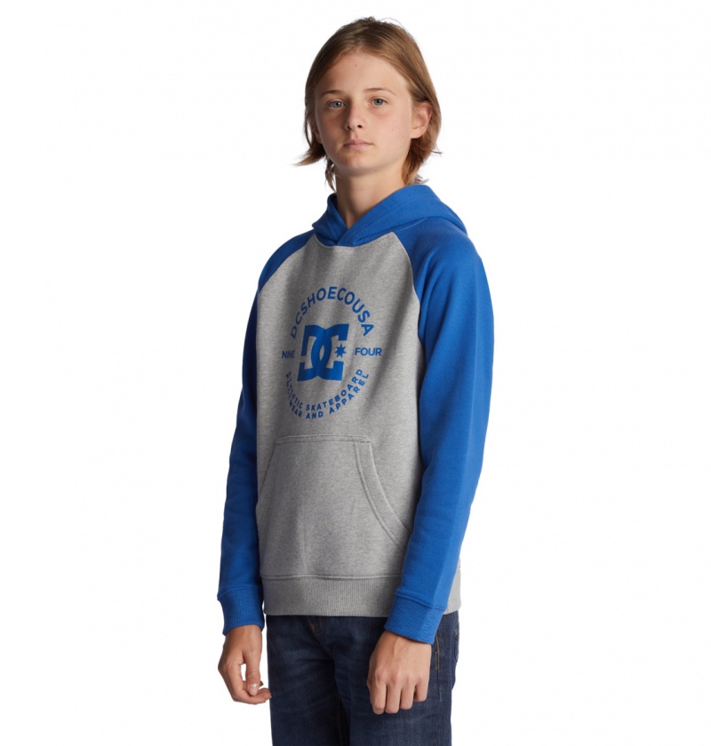 DC Shoes DC Star Pilot - Hoodie 8-16 Szare Niebieskie | 58796ZMQW