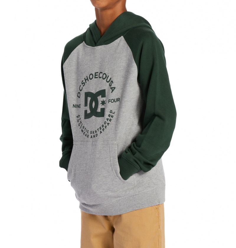 DC Shoes DC Star Pilot - Hoodie 8-16 Szare | 70865KBYF