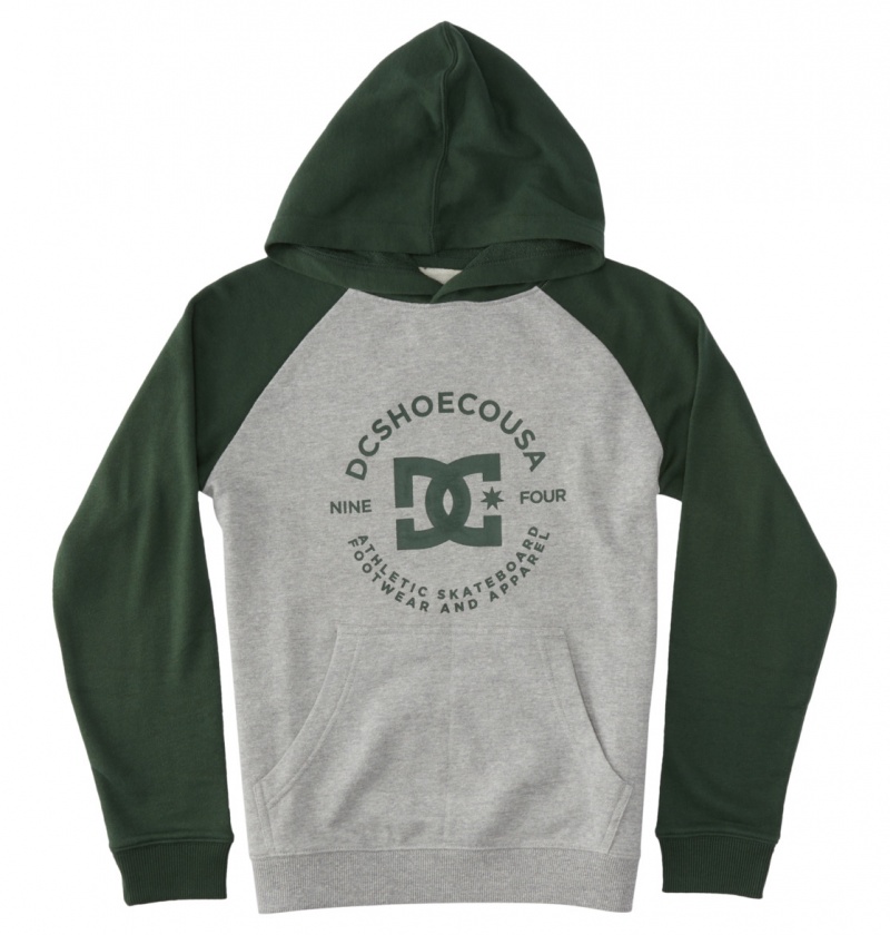 DC Shoes DC Star Pilot - Hoodie 8-16 Szare | 70865KBYF