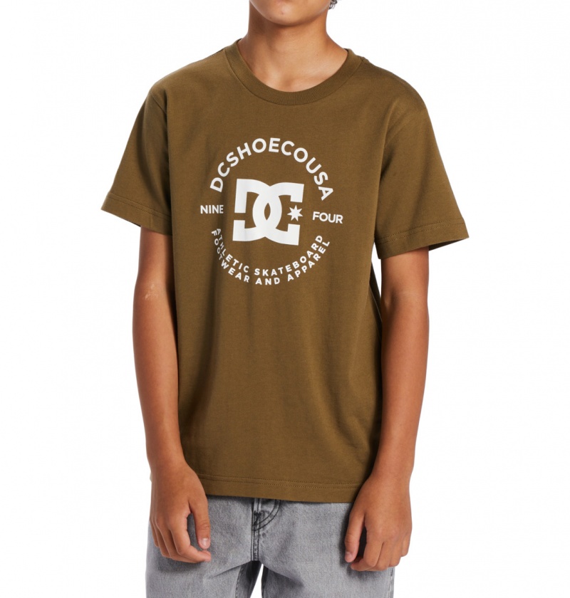 DC Shoes DC Star Pilot - Krótkie Sleeve T-Shirt 8-16 Capers | 52637UOZH