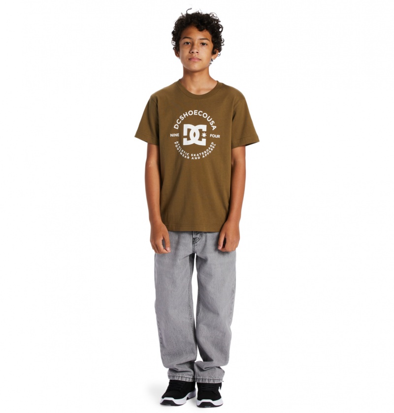 DC Shoes DC Star Pilot - Krótkie Sleeve T-Shirt 8-16 Capers | 52637UOZH